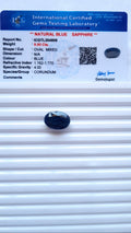 Natural Blue Sapphire — 10.35 ratti, Untreated , Unheated |BS-4808 2