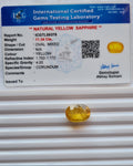 Natural  Yellow Sapphire — 12.36 ratti, Untreated , Unheated |YS-9378 2