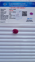 Ruby — 8.31 ratti, Untreated , Unheated|RB-4665 2