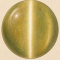 Cat's Eye